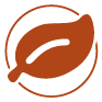 Leaf icon